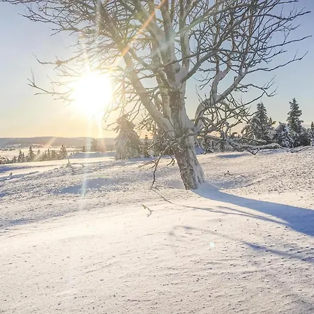 Apartment Schöne In Sjusjoen