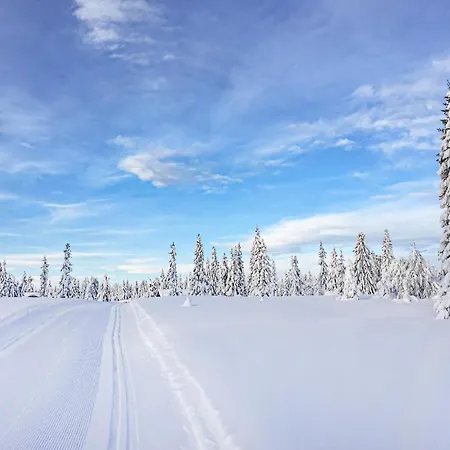 Leil 70 Apartment Sjusjoen