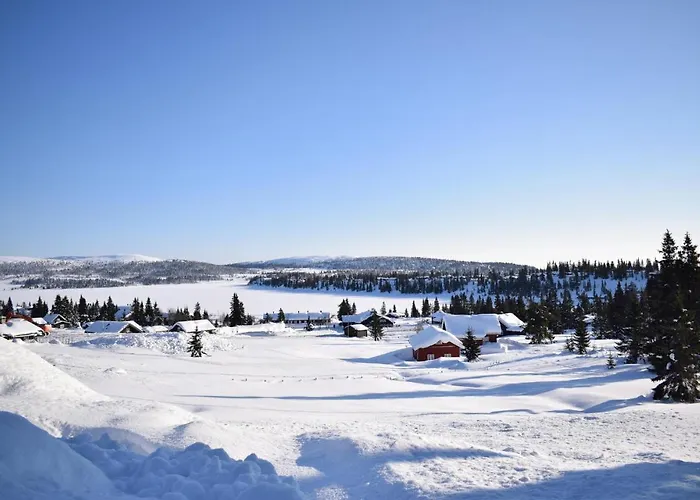 Leil 70 Sjusjoen