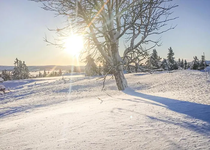 Leilighet Leil 70 Sjusjoen