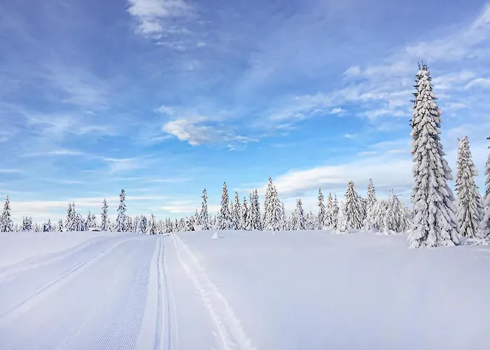 Leil 70 Leilighet Sjusjoen